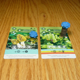 6th Player Token set compatible with Earth: Abundance™