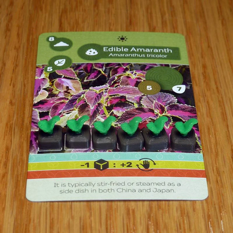 6th Player Token set compatible with Earth: Abundance™